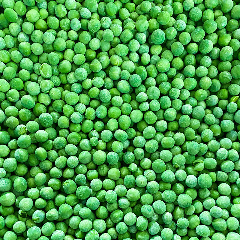 Que sont les haricots verts IQF et en quoi diffèrent-ils des légumes surgelés ordinaires ?