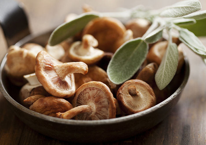 Technologie de transformation des champignons shiitake IQF